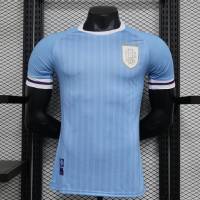 Футболка сб. Уругвая 2024, домашняя, игровая версия
